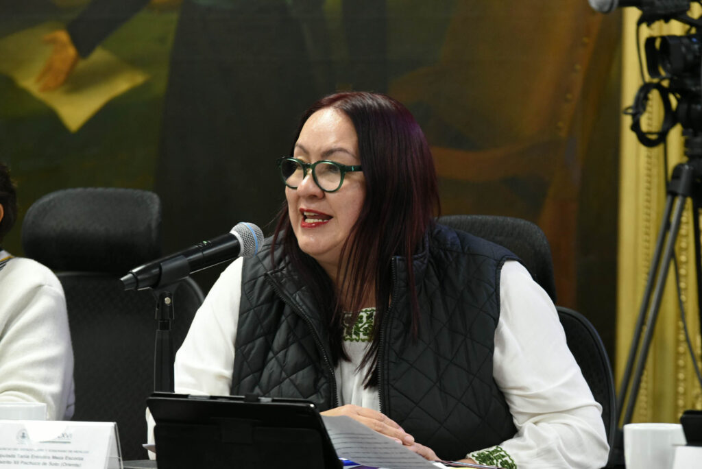 Tania Meza llama a tipificar el acoso sexual en Hidalgo; condena agresión contra la presidenta Sheinbaum